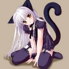 Un gato gamer :3