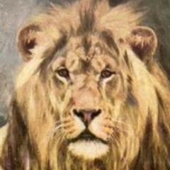 yordy3834's profile picture. Lover of San Francisco Giants, J. K. Rowling Passionate reader