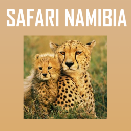 SafariNamibia1's profile picture. Download 'SAFARI NAMIBIA' Android Mobile App at http://t.co/eeJi4I5Txc and iPhone Mobile App at http://t.co/ncZm3cobVh