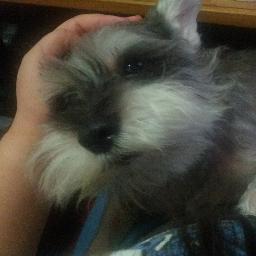 30代🇭🇰人。垢分けていないので雑。刀剣乱舞、スプラハマり。一億と二千年前からKAITOと山姥切ズ好き。 パンスト天使兄弟🩷🩵　 8964天安門事件
