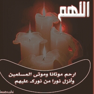 nhm_222's profile picture. 