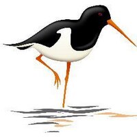 Fenham Farm B&B (@fenhamfarm) 's Twitter Profile