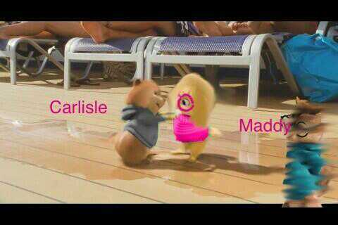 hi im maddy from the crazyettes. in a relationship with. carlela