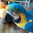 Rob Walton - @orulds2 - Twitter