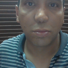 organizador de eventos