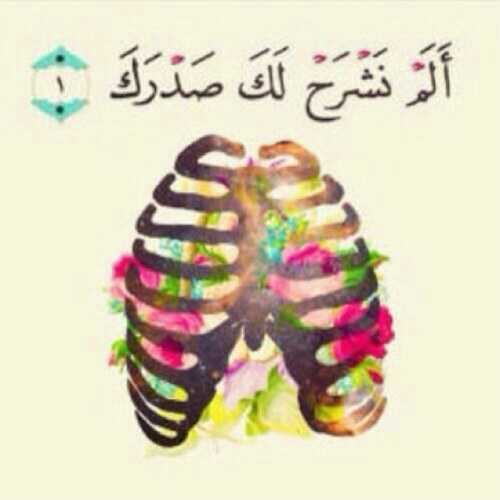 لأننا نحبك بكلماتك .. بروحك ،لأننا نحبك ياسرى♥♥♥ @suraaldakhil