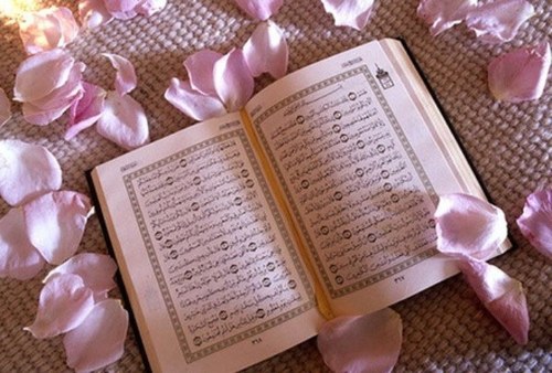 ‏املي حفظ القران