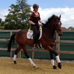 International Communications for Cisco | Dressage fanatic | Views are my own.
