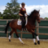 LisaAtherfold's profile picture. International Communications for Cisco | Dressage fanatic | Views are my own.