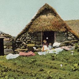 angluro's profile picture. Una casita en el campo y una mujer que me quiera:::