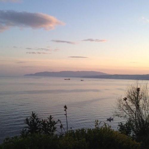 ozerkmemis's profile picture. 