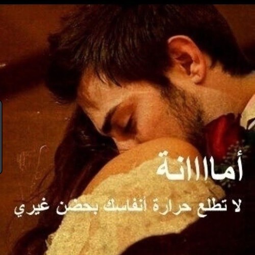 في النخل