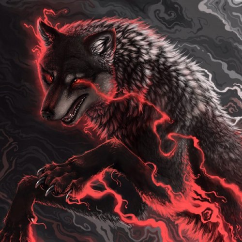 ShadowJack223's profile picture. ||#Taken by @WulfricSkoll4||BestBuds: @clare_isis||Son:@InfernoKaidon|| Daughter:@RoesDragon||Father of four lovely pups||Dont hurt them... Or else||