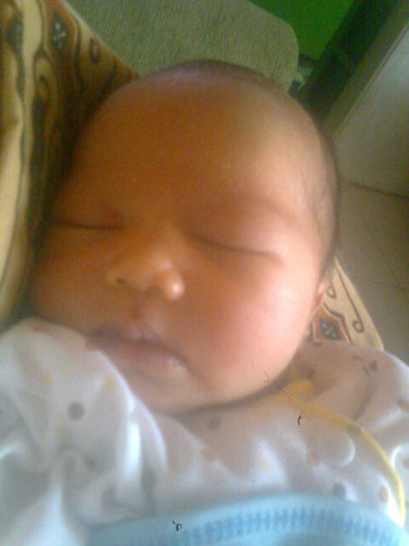 bianazalia's profile picture. My life