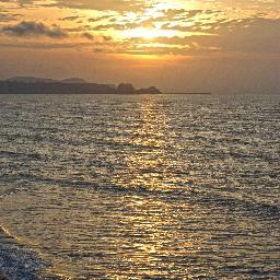 mifabsan's profile picture. 