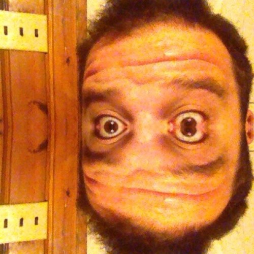 teddyamerica's profile picture. 