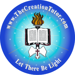 CreationTutor's profile picture. I believe that teaching Christians how to use the tools of Science, combined with Biblical Worldview, will bear much fruit