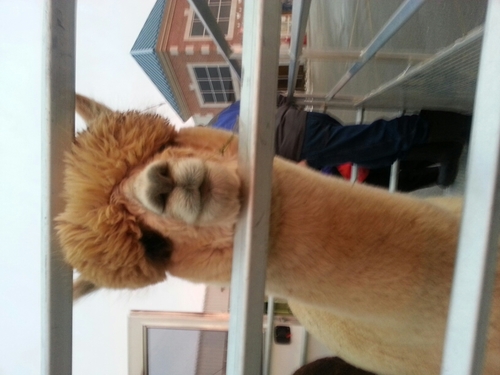 MrPopeQuotes's profile picture. 