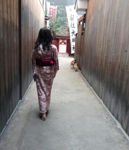 꿈꾸는 현실주의자