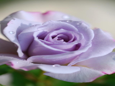 ysk7282's profile picture. 행쇼^^