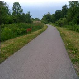 Friends of Peterborough Trails seeks to  promote, maintain, improve and protect trails within the City of Peterborough, Ontario. #ptbotrails