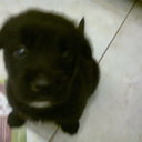 Alex Aguila - @AidaVera3 - Twitter