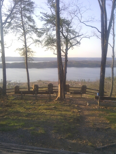 SSBamaCutiePie's profile picture. A single girl from the south that loves God, Bama football, and speaks the truth:)