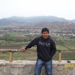 Ingeniero Agrònomo,de la Universidad Nacional Agraria de la Selva, con estudios de Maestria en la Universidad Nacional Agraria La Molina.