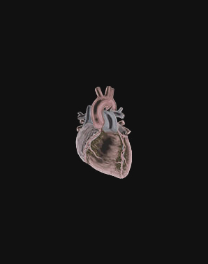 neoedo's profile picture. 