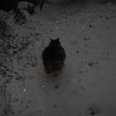 Harry Jonas Lightfoo - @HLightfoo - Twitter