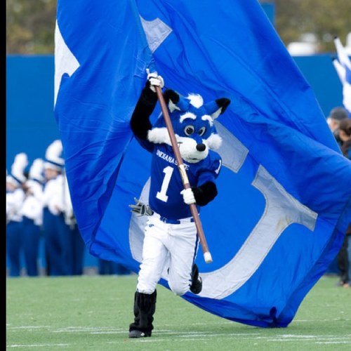 ISUHomecoming1's profile picture. Get the latest news on ISU Homecoming here first!