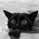 Franklin Clark - @freebraveand - Twitter