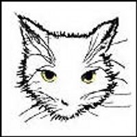 sselFurlon (@sselfurlon) 's Twitter Profile