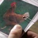 David Faller - @BobTager - Twitter