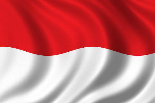 Sekolah sepak bola yang bekerjasama dengan PSSI untuk menghasilkan bibit2 muda yang berprestasi.