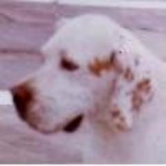 aguashiriope's profile picture. 