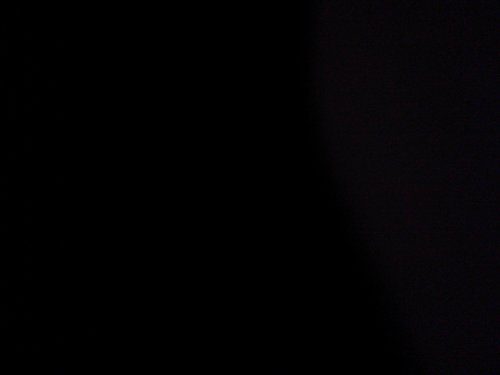 HashKetchum1's profile picture. 