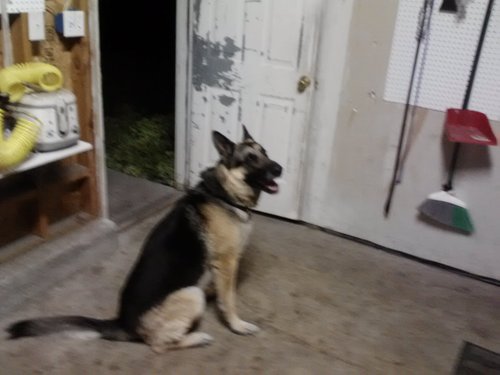 Pluceroach's profile picture. 