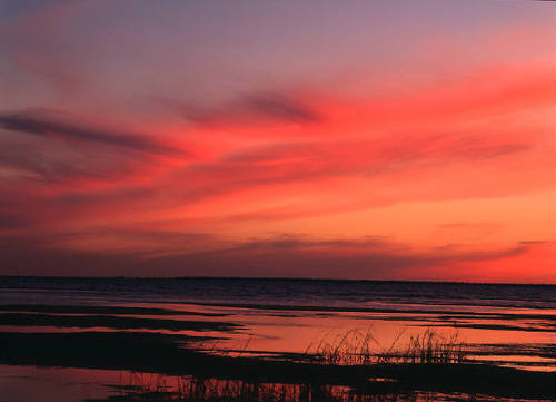 internetconcept's profile picture. Internet Development Services, Design, Hosting, Marketing