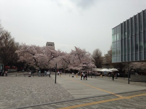 titechinformal's profile picture. 東京工業大学(東工大)に関する情報をつぶやく非公式アカウント。中身はただの1在学生ですがよろしくお願いします。 新入生、受験生、在学生、卒業生の皆さま、気軽にフォローしてください。 ブログにも内容まとめてます。 http://t.co/RiJ8aTrlAE