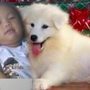 Kenneth Carl Magnaye - @kennkeon - Twitter