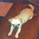 Anna miraldi - @Annamir72L - Twitter