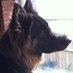 Mr Babble (@mrbabble) Twitter profile photo
