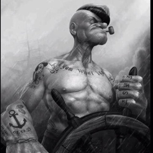 Nordseerocker's profile picture. 