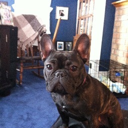 smc_sharon's profile picture. 