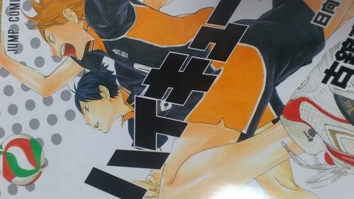 haikyu__bot Profile Picture