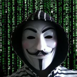 I'm computer engineer. I'm not a Hacker, I only play with your computer. We are fighters for internet freedom. Expect us!