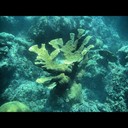 Michelle Peer - @MichellePeerA - Twitter