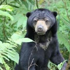 Wisata_Bpn's profile picture. Setiap warga Balikpapan adalah Duta Wisata Balikappan. Mari saling berbagi Info Wisata, Kuliner, Event, Belanja dll 
wisatabpn@gmail.com