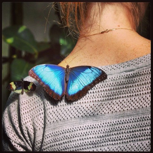 meetmadge's profile picture. Late to the game but figuring out the big hashtag hype.